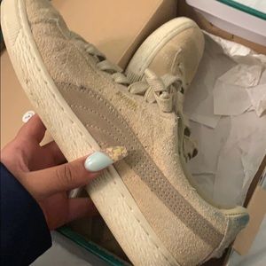 Creame suede classic pumas
